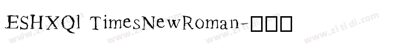 ESHXQl TimesNewRoman字体转换